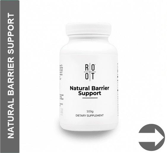 >> mehr Informationen